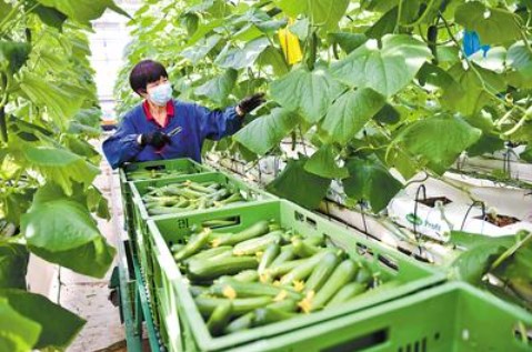 &#107;&#98;&#20307;&#32946;&#40;&#20013;&#22269;&#41;&#23448;&#26041;&#32593;&#31449;&#45;&#30331;&#24405;&#20837;&#21475;